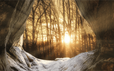 Un film pour dire au revoir