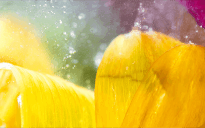 Je suis hypersensible