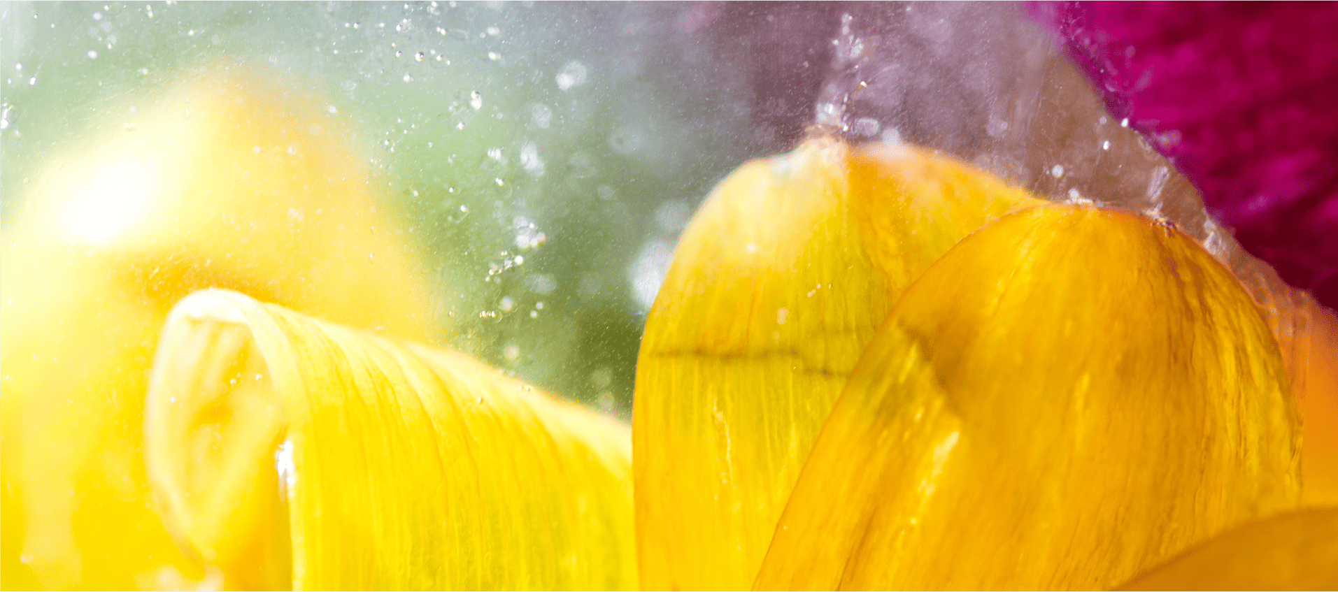 220201 Unalome Thérapie, Corinne Chantegrelet, Je suis hypersensible