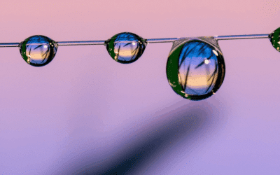 La psychothérapie en Gestalt, une école de tolérance