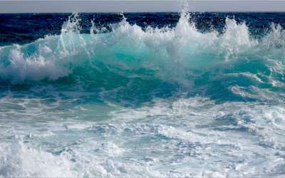 Il meurt lentement celui qui …