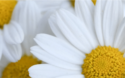 Le jour où je me suis aimé pour de vrai