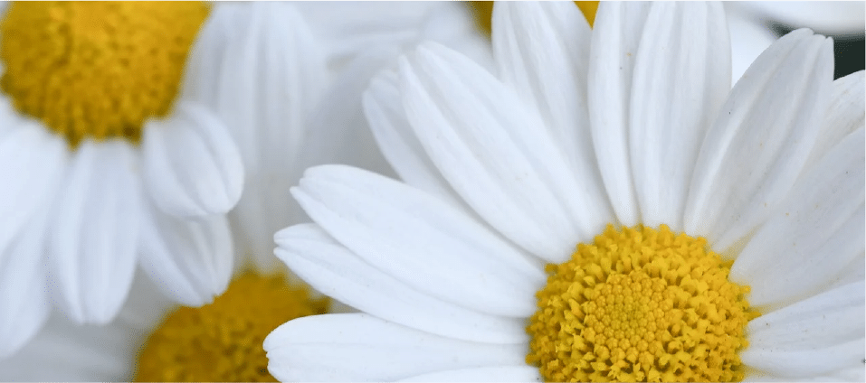 230404 Unalome Thérapie, Corinne Chantegrelet, Le jour où je me suis aimé pour de vrai